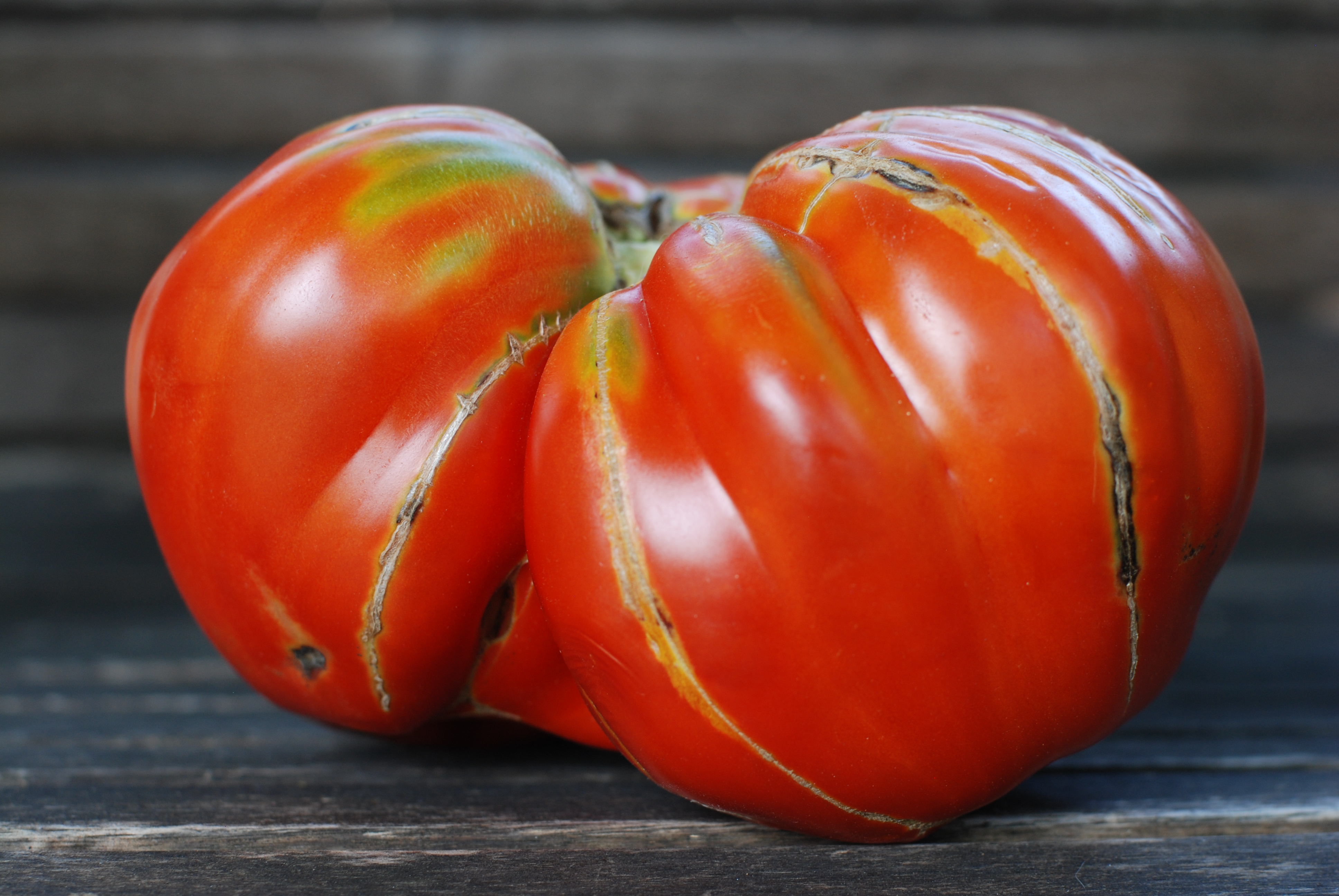 Heirloom Provenzano Tomato