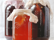 Vinegar and Kombucha Mothers