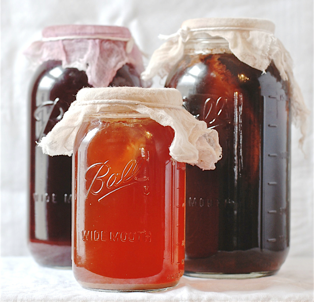 Vinegar and Kombucha Mothers