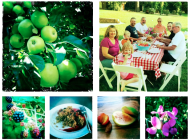 Summer Family Gathering with Blackberry Apple Crisp