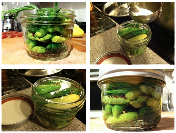 French Style Cornichon Pickles