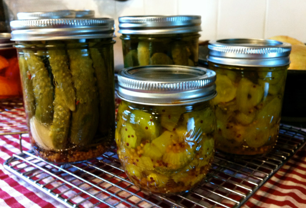 Judy's Dill Pickles