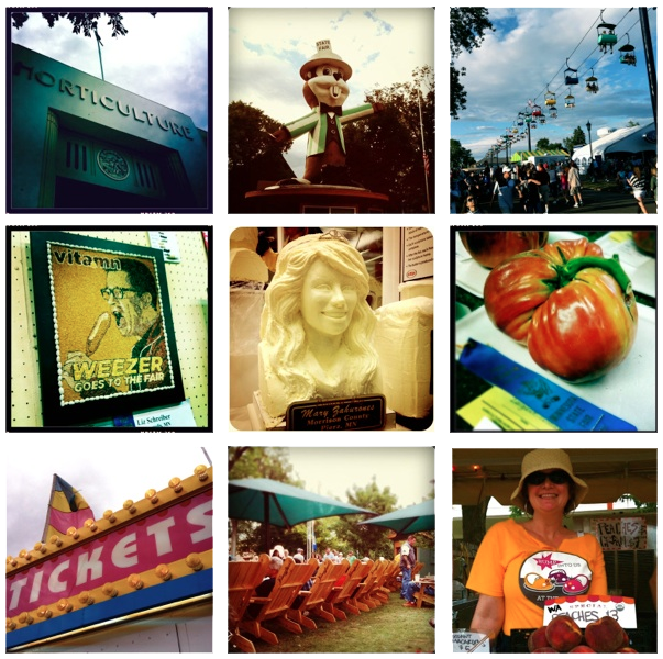 Minnesota State Fair 2011