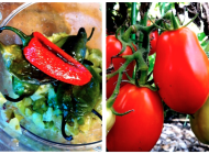 Canning Salsa