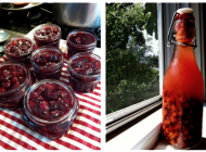 Sour Cherry Preserves and Cherry Pit Vodka