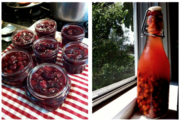 Sour Cherry Preserves and Cherry Pit Vodka