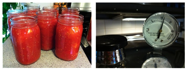 Pressure Canned Tomatoes