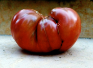 Heirloom Beefsteak Tomato