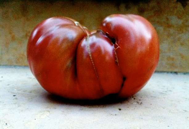Heirloom Beefsteak Tomato