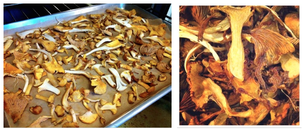 How To Dry Mushrooms (In Oven or Dehydrator), Recipe