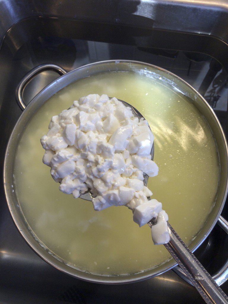 Curds and Whey