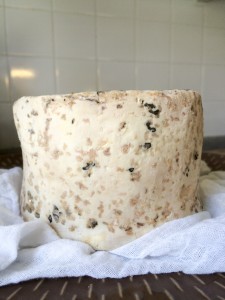 Finished Scraped Blue Cheese