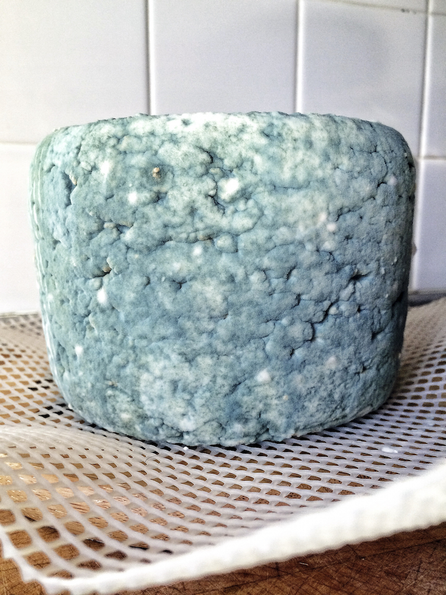 blue cheese recipe