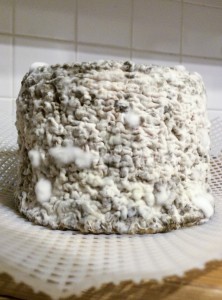 Over Two Months Aged Blue Cheese